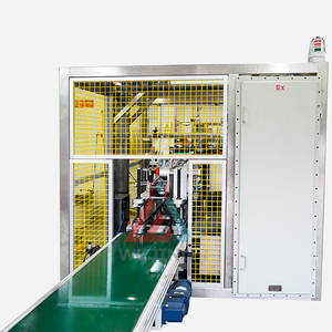 Automatinė dėklų pakavimo mašina aerozolių užpildymo linijai 